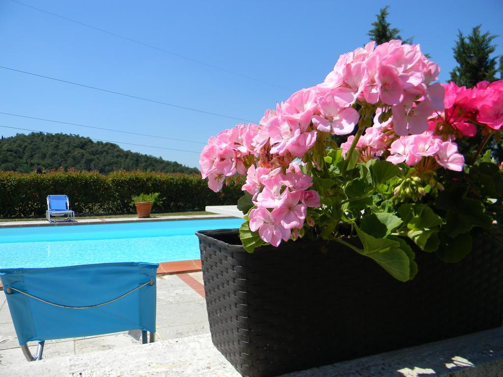 Agriturismo Podere La Selva Villa Serre Di Rapolano Exterior photo