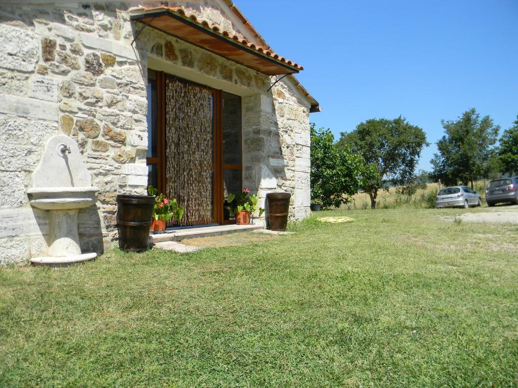 Agriturismo Podere La Selva Villa Serre Di Rapolano Exterior photo