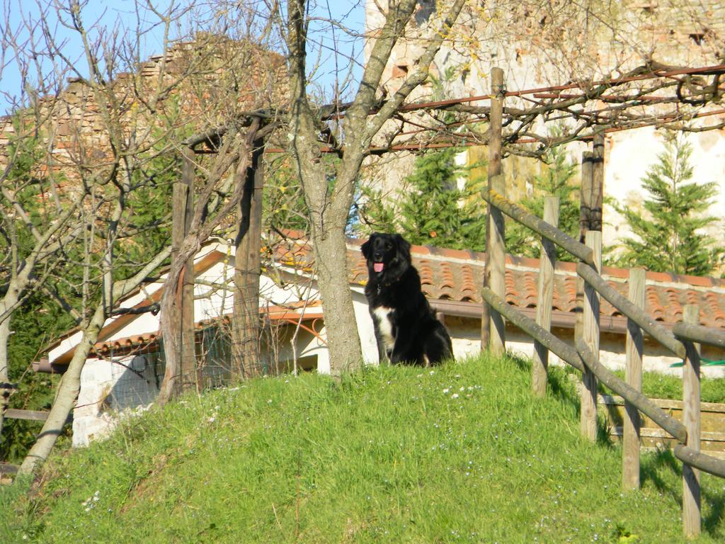 Agriturismo Podere La Selva Villa Serre Di Rapolano Exterior photo