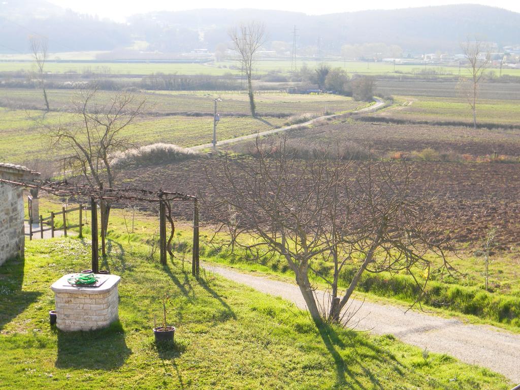 Agriturismo Podere La Selva Villa Serre Di Rapolano Exterior photo