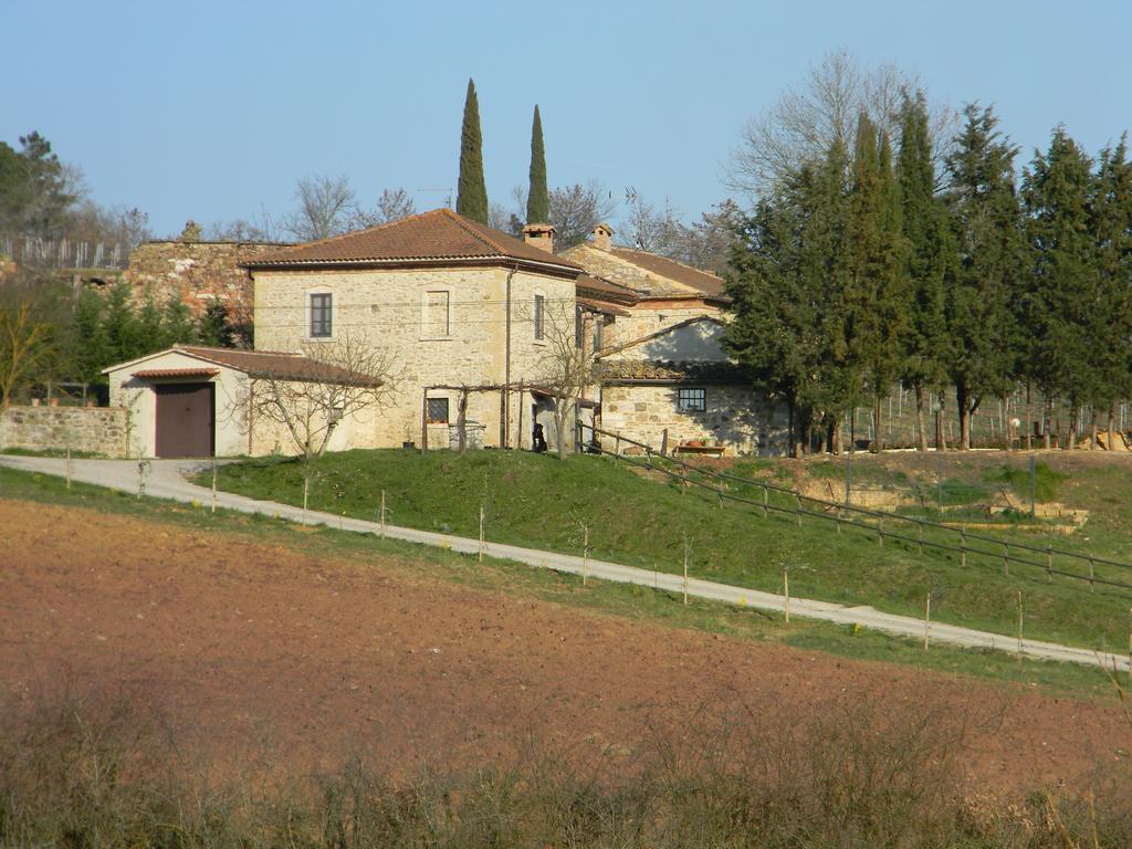 Agriturismo Podere La Selva Villa Serre Di Rapolano Exterior photo